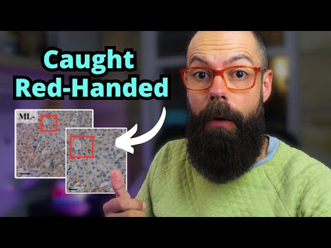 BUSTED: How AI Uncovered Italian Minister&#039;s Dirty Secret—Fake Data and Lies!